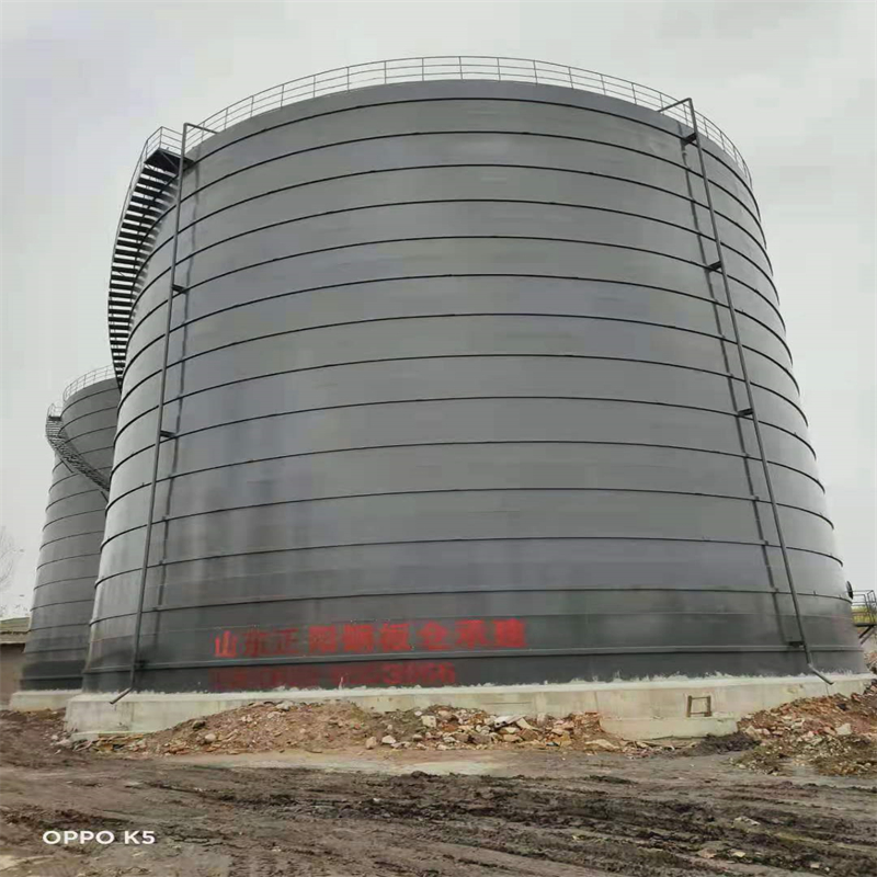 天全3万吨大型钢板库