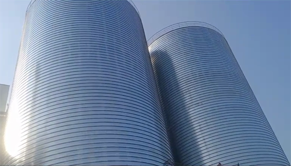 天全2座混凝土高架卷板仓